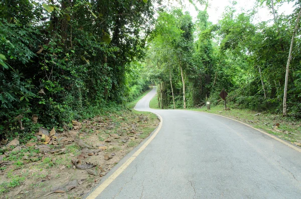 Curva asfalto vista estrada — Fotografia de Stock