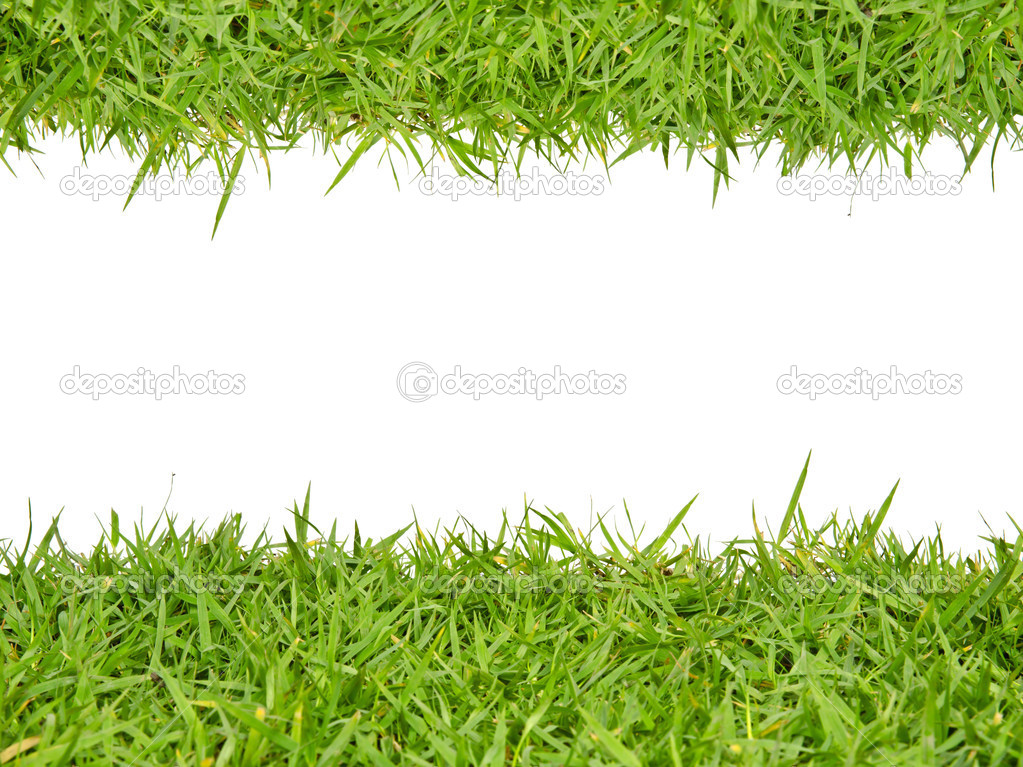 Green grass with white background