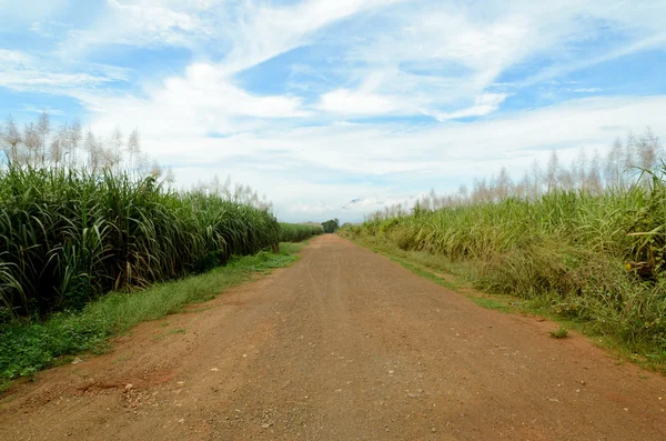 Estrada do cascalho — Fotografia de Stock