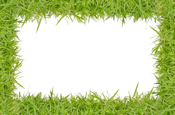 Green grass frame — Stock Photo, Image