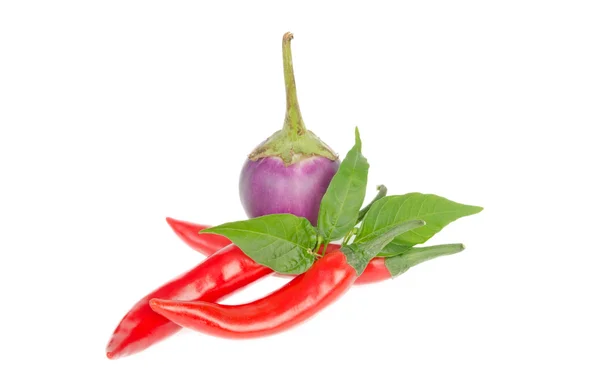 Červené chilli papričky a lilek — Stock fotografie