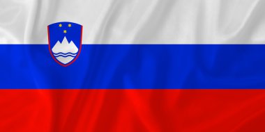 Slovakya bayrağı