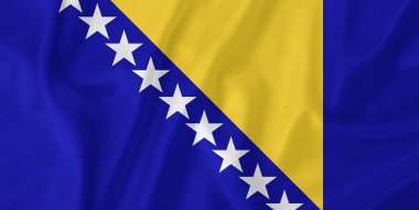 Bosna-Hersek bayrağı