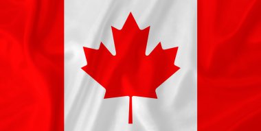 Kanada Bayrağı