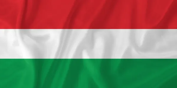 Magyar zászló — Stock Fotó