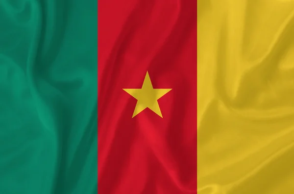 Cameroon flag — Stock Photo, Image