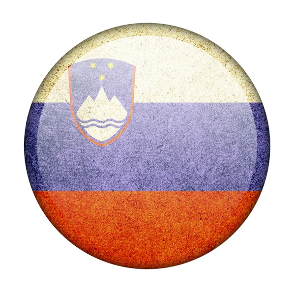 Slovenia flag — Stock Photo, Image