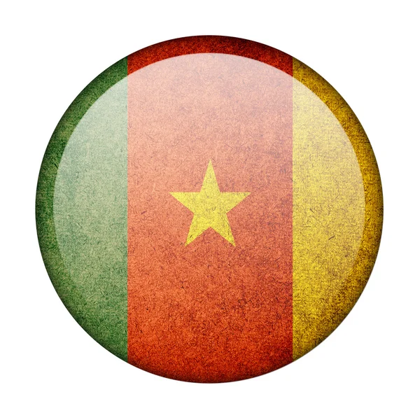 Cameroon flag — Stock Photo, Image