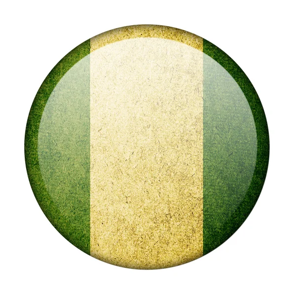 Nigeria flag — Stock Photo, Image