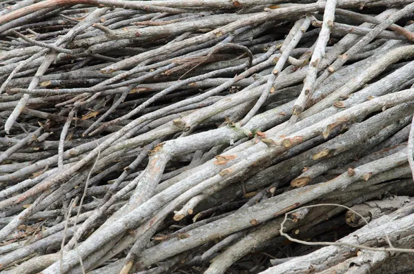 Holzstapel — Stockfoto