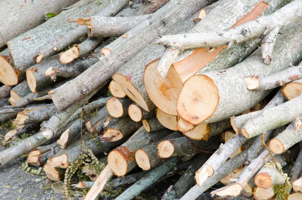 Brennholzstapel — Stockfoto