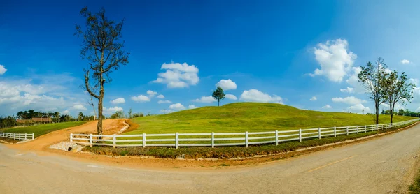 Green hill paisagem de verão — Fotografia de Stock