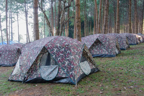 Kemah Berkemah i — Stok Foto