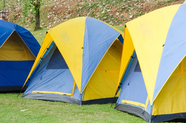 Kampeertenten in het bos — Stockfoto