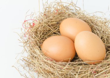 Yuvadaki yumurtalar