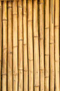 Bambu çit arka plan 