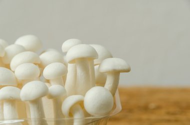 Kayın mantar ahşap zemin üzerinde