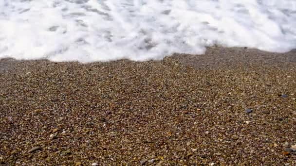 Beautiful blue sea pebbles beach. Selective focus. — Stock Video