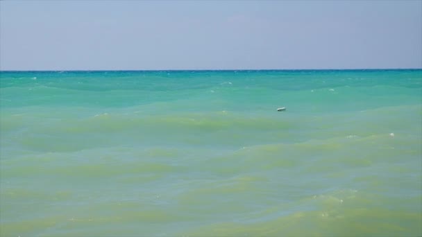 Praia de seixos de mar azul bonita. Foco seletivo. — Vídeo de Stock