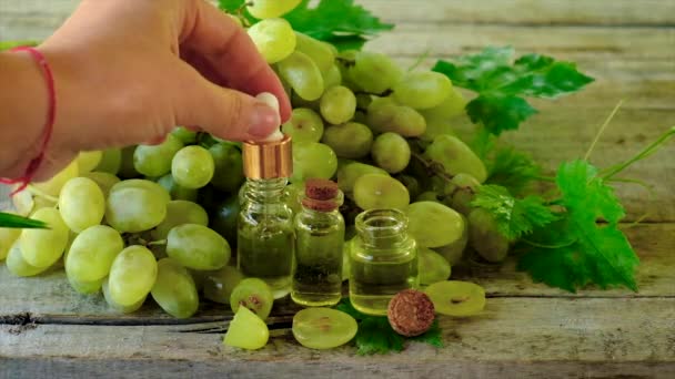 Bouteille d'huile de pépins de raisin. Concentration sélective. — Video