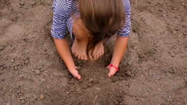 Het kind houdt de grond in zijn handen. Selectieve focus. — Stockvideo