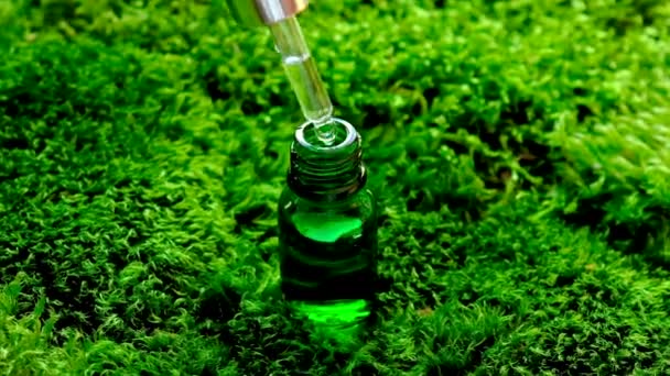 Cosmetics in a bottle on Moss. Natural cosmetic. — Stock Video