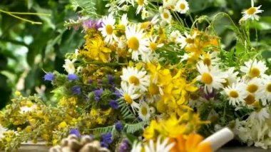 Tıbbi bitkisel özler ve diyet takviyeleri. Seçici odak.