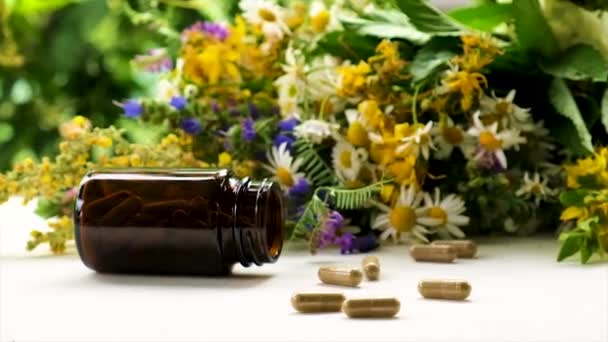 Medicinal herbal extracts and dietary supplements. Selective focus. — Stock Video