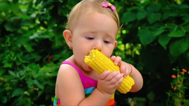 Das Kind isst Mais auf der Straße. Selektiver Fokus. — Stockvideo