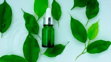 Kozmetik çay ağacı, su arka planında bir şişede. Seçici odak.