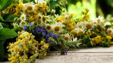 Tıbbi bitkisel özler ve diyet takviyeleri. Seçici odak.