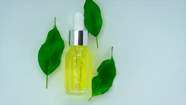 Kosmetik Teebaum in einer Flasche auf einem Wasser Hintergrund. Selektiver Fokus. — Stockvideo
