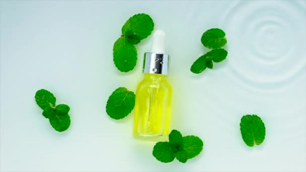 Cosmetics mint in a bottle on a water background. Selective focus. — Stock Video