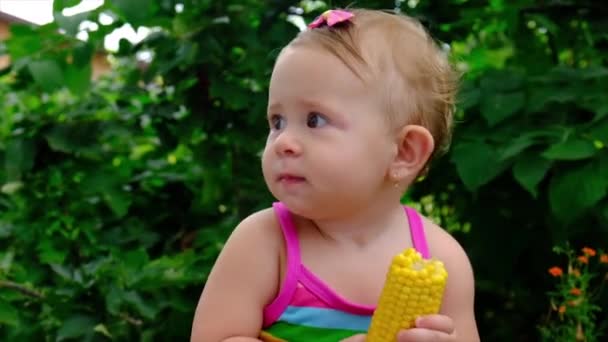 Het kind eet maïs op straat. Selectieve focus. — Stockvideo