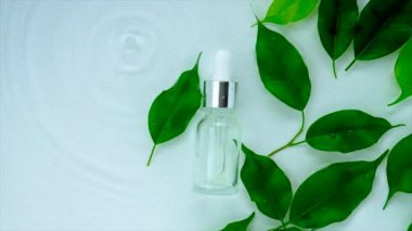 Kozmetik çay ağacı, su arka planında bir şişede. Seçici odak.