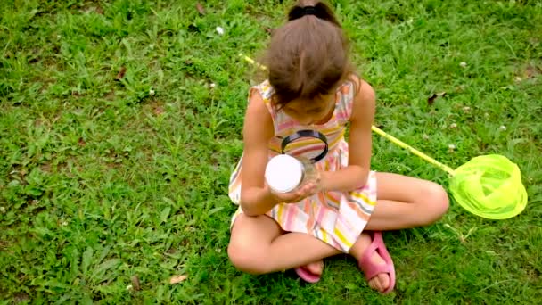 Une fillette attrape des papillons avec un filet à papillons. Concentration sélective. — Video