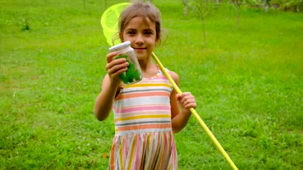 Una niña captura mariposas con una red de mariposas. Enfoque selectivo. — Vídeo de stock