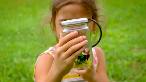 Una niña captura mariposas con una red de mariposas. Enfoque selectivo. — Vídeos de Stock