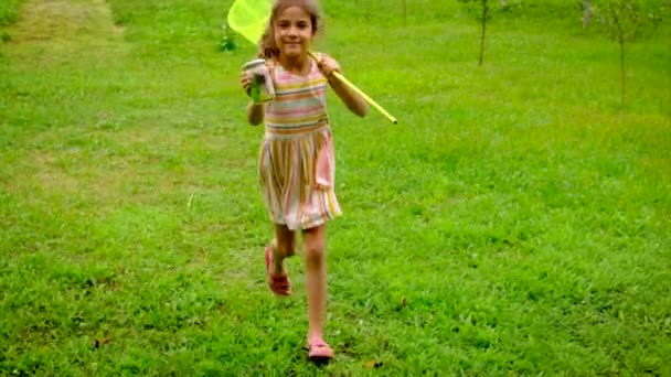 Egy kislány pillangókat fog egy lepkehálóval. Szelektív fókusz. — Stock videók