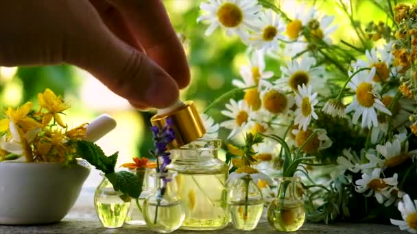 Obat herbal ekstrak dalam botol. Fokus selektif. — Stok Video