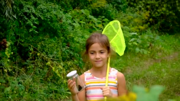 Ένα κοριτσάκι πιάνει πεταλούδες με ένα δίχτυ πεταλούδας. Επιλεκτική εστίαση. — Αρχείο Βίντεο