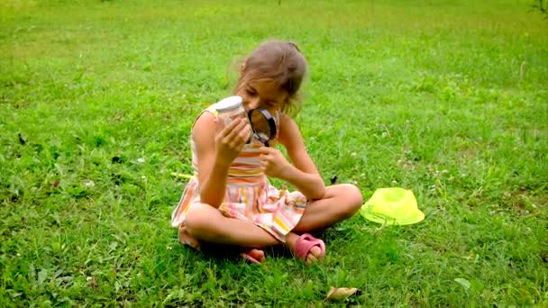Çocuk bir kız kelebek ağıyla kelebek yakalar. Seçici odak. — Stok video