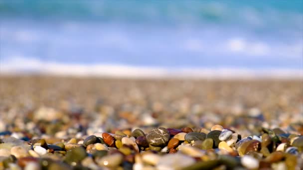 Pebble stones on the beach. Selective focus. — Stock Video