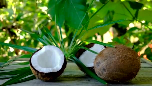 Kokosöl in einer Flasche für Wellness-Behandlungen. Selektiver Fokus. — Stockvideo