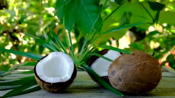 Aceite de coco en una botella para tratamientos de spa. Enfoque selectivo. — Vídeo de stock