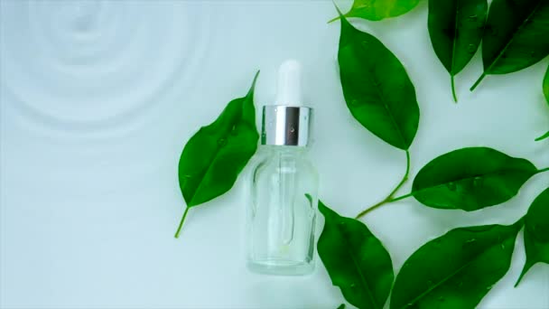 Thé cosmétique arbre dans une bouteille sur un fond d'eau. Concentration sélective. — Video