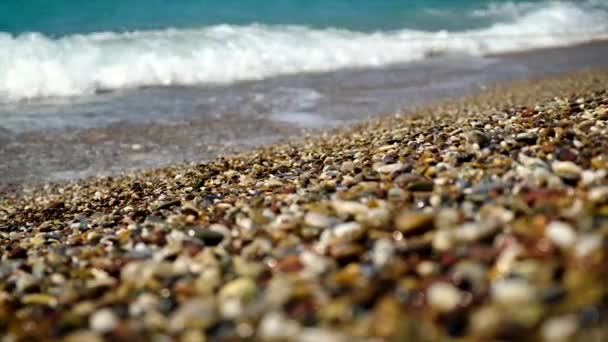 Pebble stones on the beach. Selective focus. — Stock Video