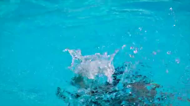 Il bambino sta annegando nell'acqua. Focus selettivo. — Video Stock