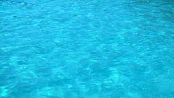 The pool water is clear. Selective focus. — Stock Video