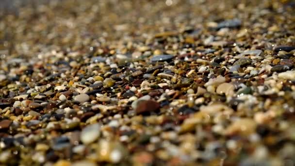 Каменистые камни на пляже. Селективный фокус. — стоковое видео